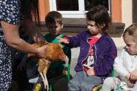IMG_1800