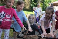 IMG_1935